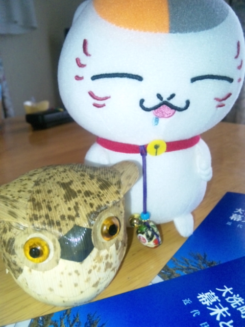 にゃんこ先生とふくろう