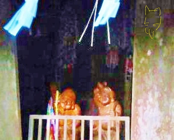 大黒様の眷属?心霊写真