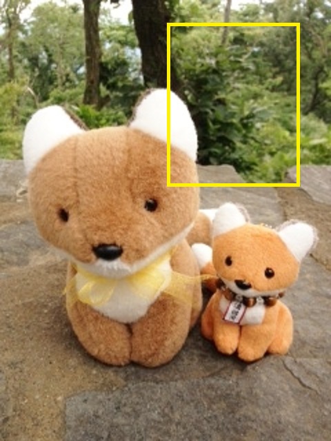 かえで不思議写真A