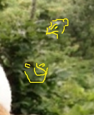 かえで高尾山B