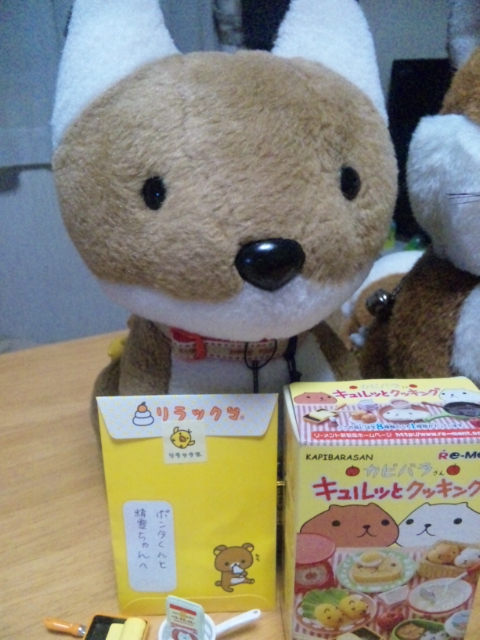 ぽんた独り占め