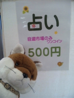 ワンコイン