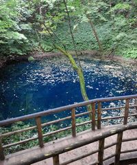 十二湖 青池