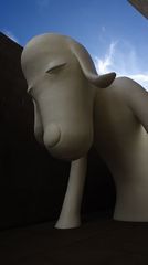 あおもり犬
