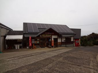 甘夏かあちゃん