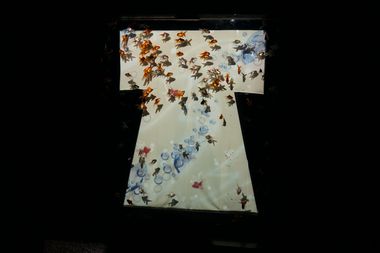 アートアクアリウム2013