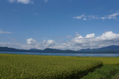田沢湖