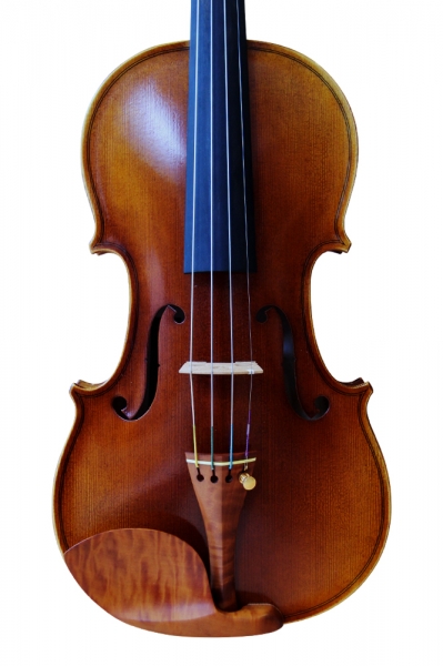 素敵な Verga Hill Chrome Bracket <br>Violin Chinrest Boxwood <br>バイオリンあご当  ボックスウッド