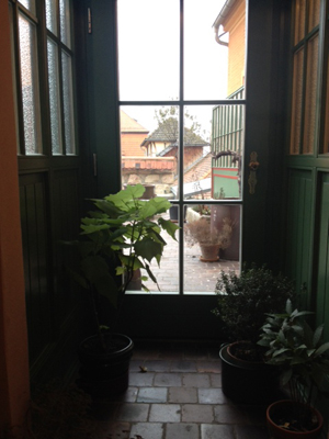 photo 5.JPG