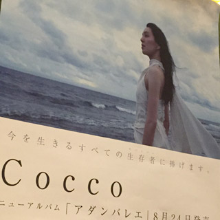 Cocco