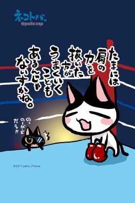 ネコトバ。398