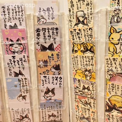 ぱりこ什器写真2