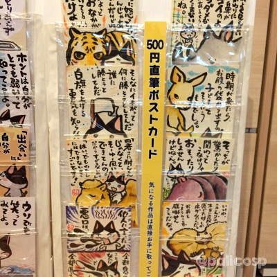 ぱりこ什器写真4