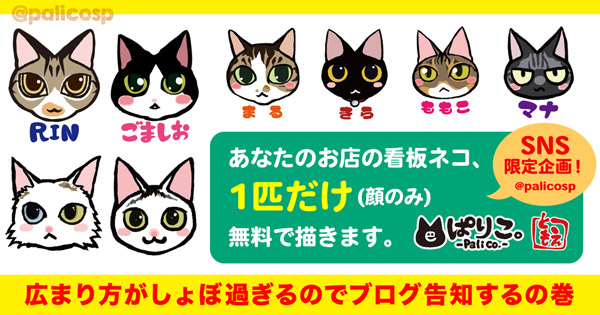 cat_SNSplan_001_blog_s.jpg