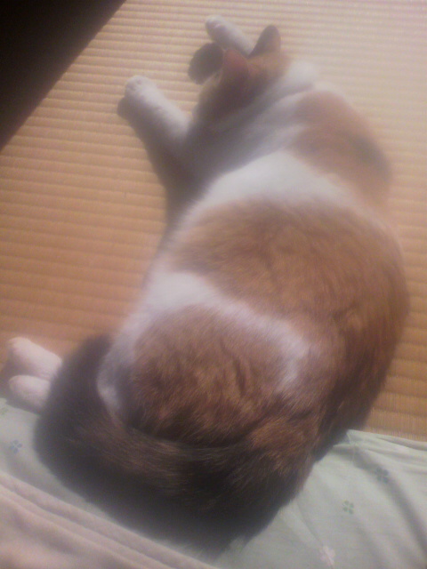 2012010211240000.jpg