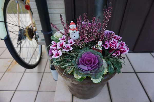 寄せ植えローテーション 花の庭づくり 花の庭暮らし