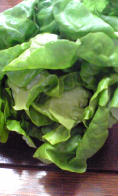 Image1400.jpg