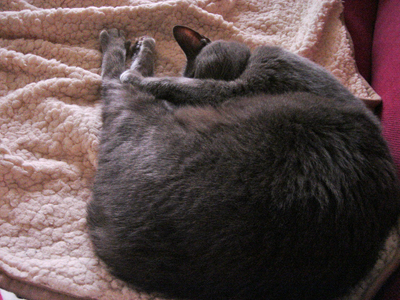 DSC08068.JPG