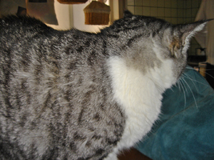 DSC08063.JPG