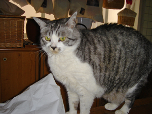 DSC08064.JPG
