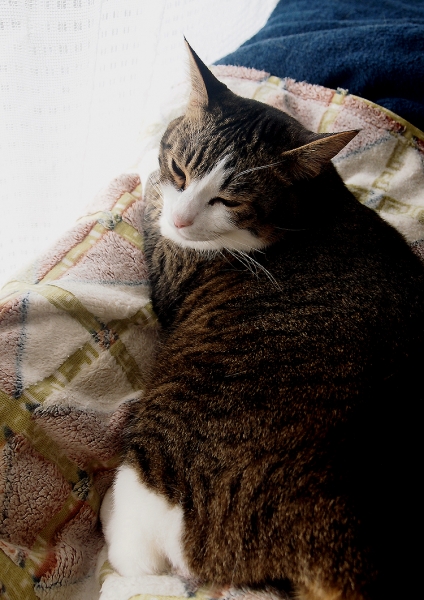 P1013005.JPG