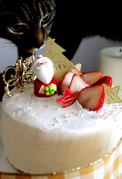 handmade ♡ ハートチョコ添えプリンカラーにゃんこのたまご乗っけ 