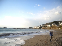 流木が好きらしい