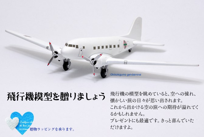 飛行機 模型 通販