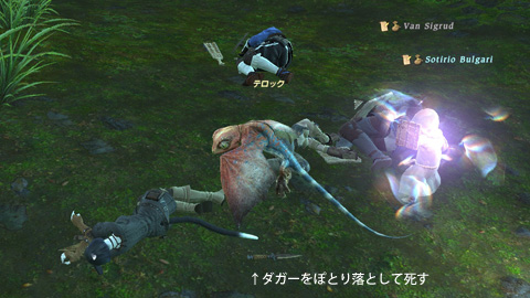 低ランクPT