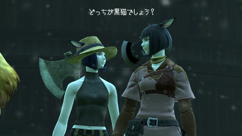 フィガロの黒猫さん