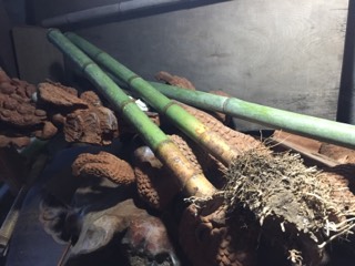 photo.jpg