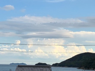 photo.jpg