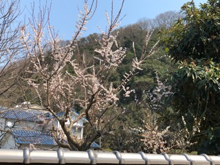 photo.jpg