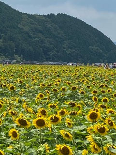 photo.jpg