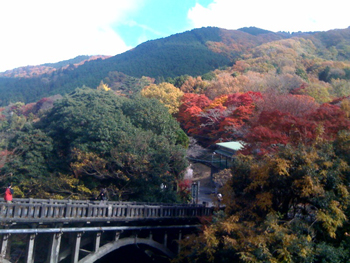 紅葉 山.jpg