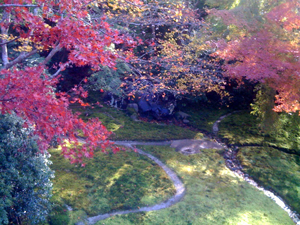 紅葉 庭.jpg