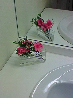200905291038000.jpg