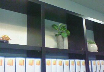 200908210839001.jpg