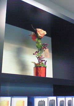 200908210839000.jpg