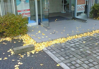 200912040824000.jpg