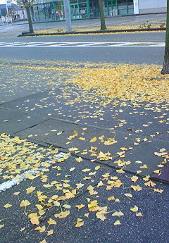 200912040833000.jpg