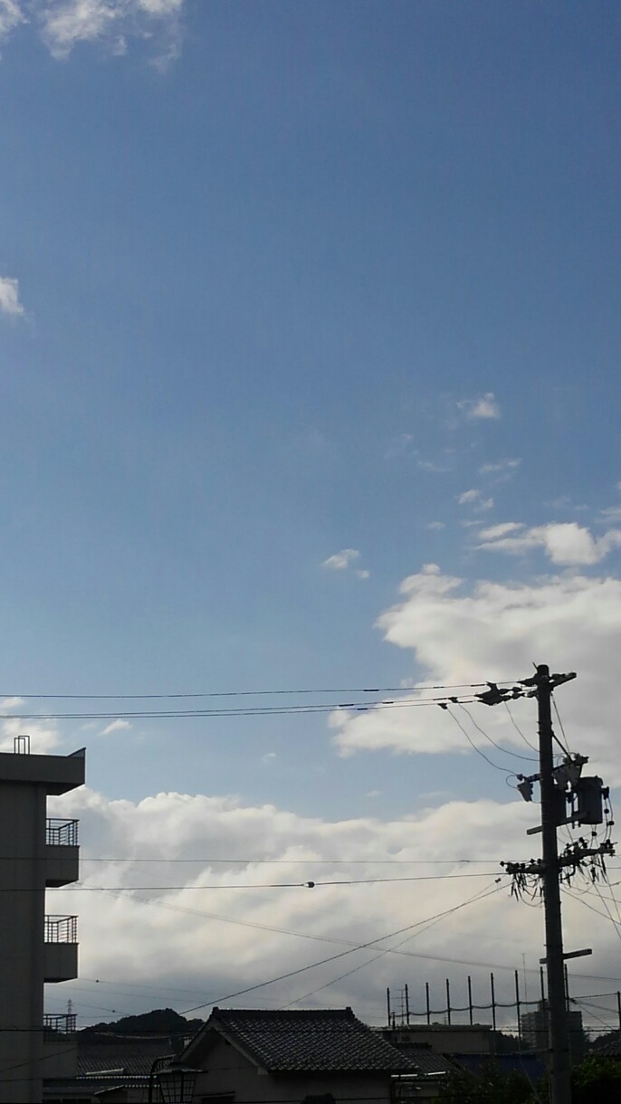 北京陸上400mリレー 日本 銀 に繰り上げ の朝 空画像