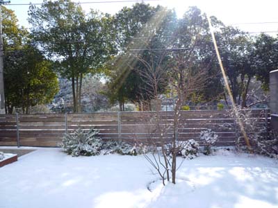 120203-5.JPG