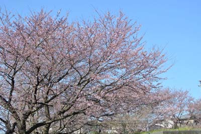 120404-12.jpg