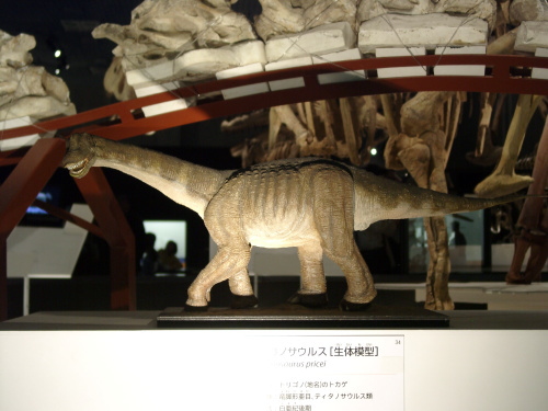 トリゴノサウルス 003