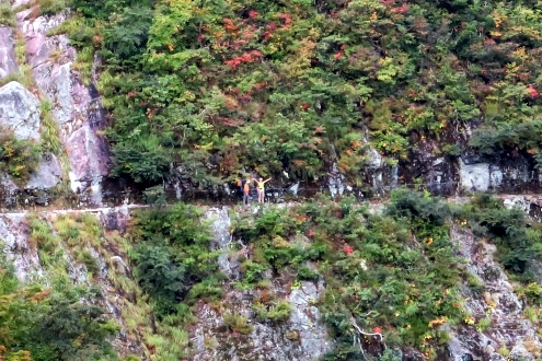 水平歩道