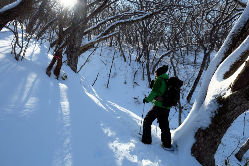 長七郎山の登山道