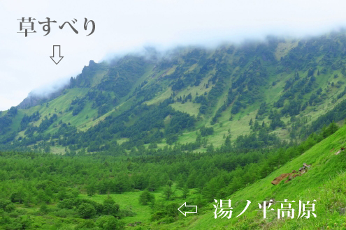 草すべり