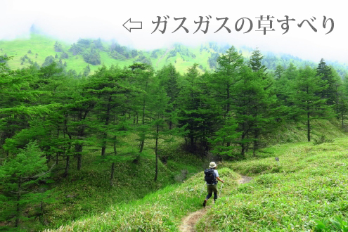 草すべり