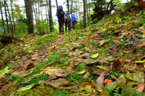 柳沢峠〜丸川峠